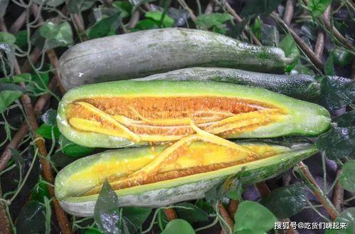 吃网红瓜的平台,各大平台瓜田里的新鲜事  第3张