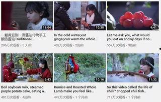 李子柒夜店爆料视频网盘,揭秘网红背后的真实生活  第1张