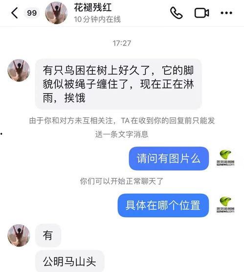 陈女士爆料最新新闻消息,最新新闻事件深度解析 第3张 陈女士爆料最新新闻消息,最新新闻事件深度解析 第3张